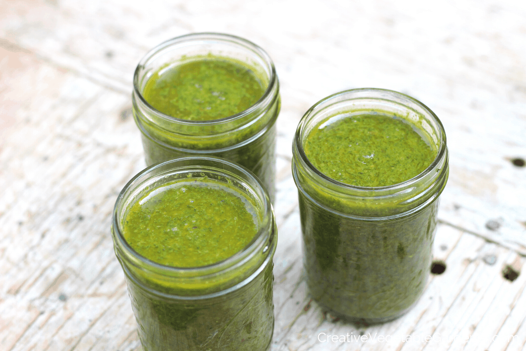 βάζα σάλτσας Cilantro που διατηρείται για το χειμώνα